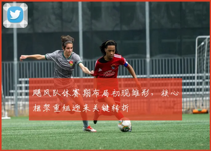 飓风队休赛期布局初现雏形，核心框架重组迎来关键转折