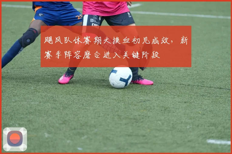 飓风队休赛期大换血初见成效，新赛季阵容磨合进入关键阶段