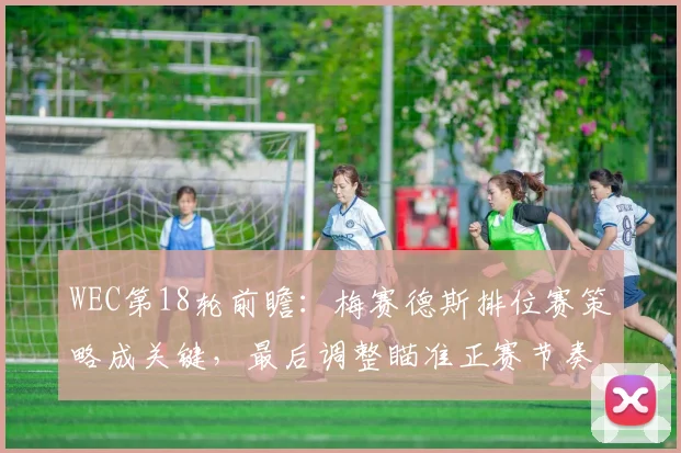 WEC第18轮前瞻：梅赛德斯排位赛策略成关键，最后调整瞄准正赛节奏